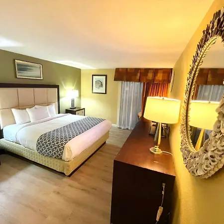 Hotel Hutchi Bell